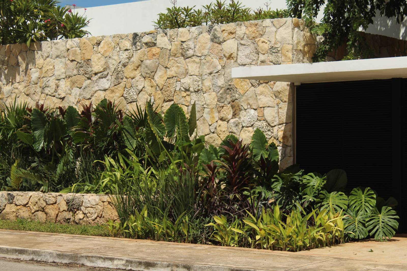 Jardinera tropical frente a un muro de piedra